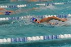 Swimming vs Bentley  Wheaton College Swimming vs Bentley. - Photo By: KEITH NORDSTROM : Wheaton, Swimming, Bentley